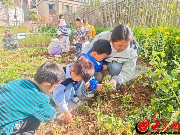 大牛配资网 “趣”劳动  “悦”成长——青岛西海岸新区藏马山居幼儿园五一劳动节主题活动