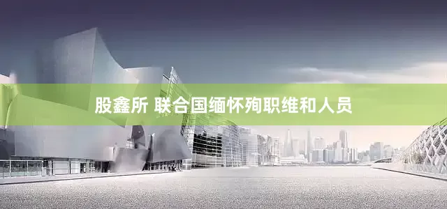 股鑫所 联合国缅怀殉职维和人员