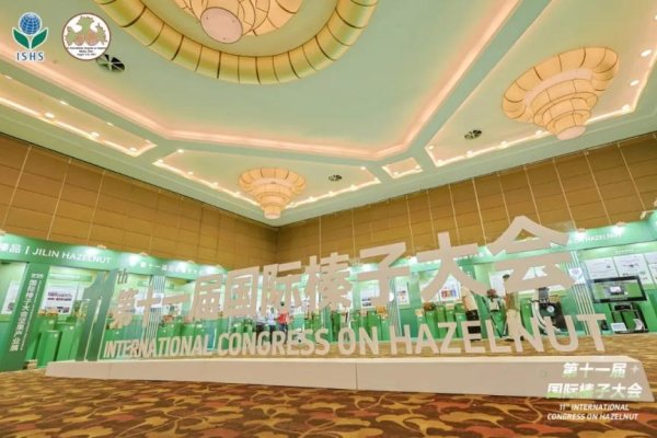 倍悦网配资 首次“落地”中国！第十一届国际榛子大会在昌平开幕