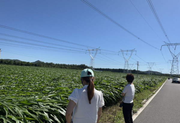 纯旭配资 怀柔区5000多亩受损农田获快速理赔，农户开始领取理赔款