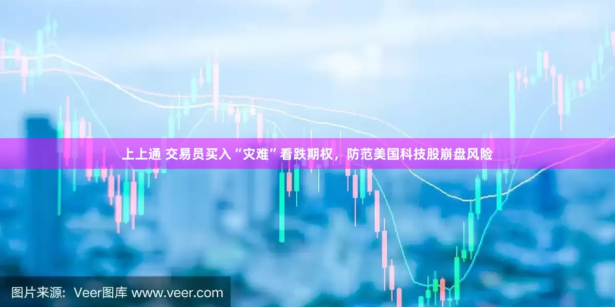 上上通 交易员买入“灾难”看跌期权，防范美国科技股崩盘风险