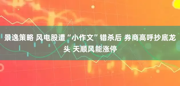 景逸策略 风电股遭“小作文”错杀后 券商高呼抄底龙头 天顺风能涨停